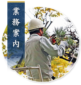 業務案内
